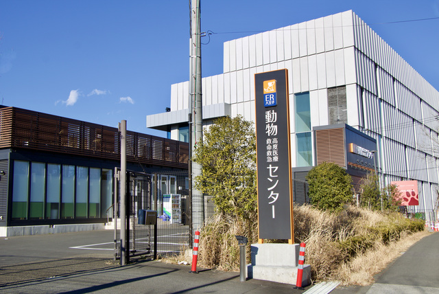 周辺施設のチェックも忘れずに